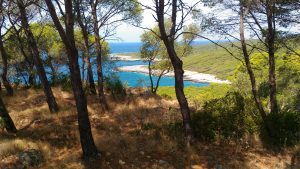 migliori spiagge del Salento - Porto Selvaggio