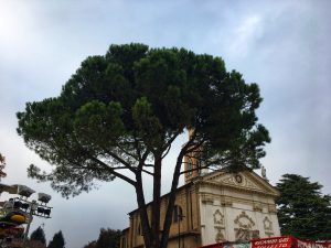 sagra del folpo Noventa Padovana