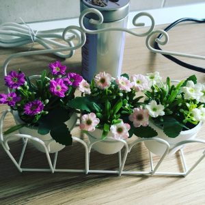 Appartamento in centro a Trieste