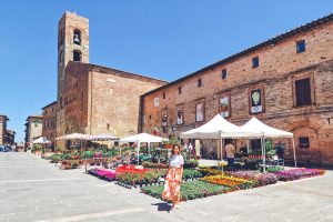 cosa vedere a casole d elsa - museo civico