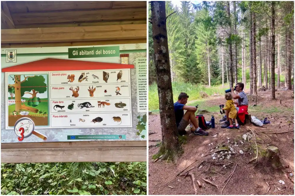 installazioni didattiche nel bosco e famiglia che fa picnic