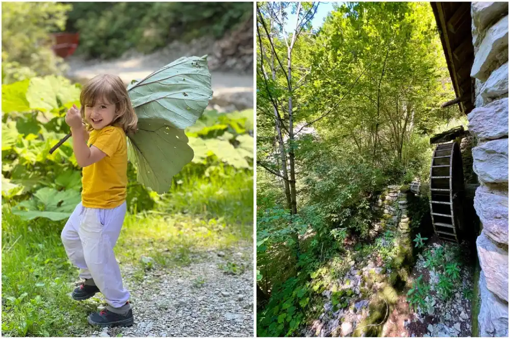 bimba con foglia gigante che cresce solo vicino all'acqua e antico mulino